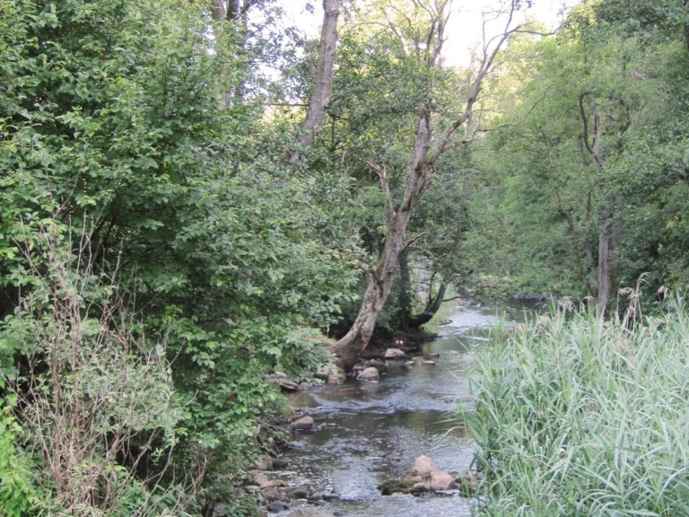 Billingemöllas naturreservat