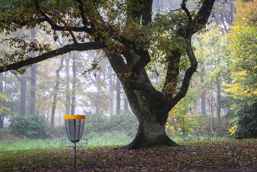 En discgolfkorg med gul kant står under ett stort träd med grova grenar i en park. Marken är täckt av fallna löv och dimman ligger tät mellan träden i bakgrunden. Färgerna går i grönt, gult och brunt, typiska för hösten.